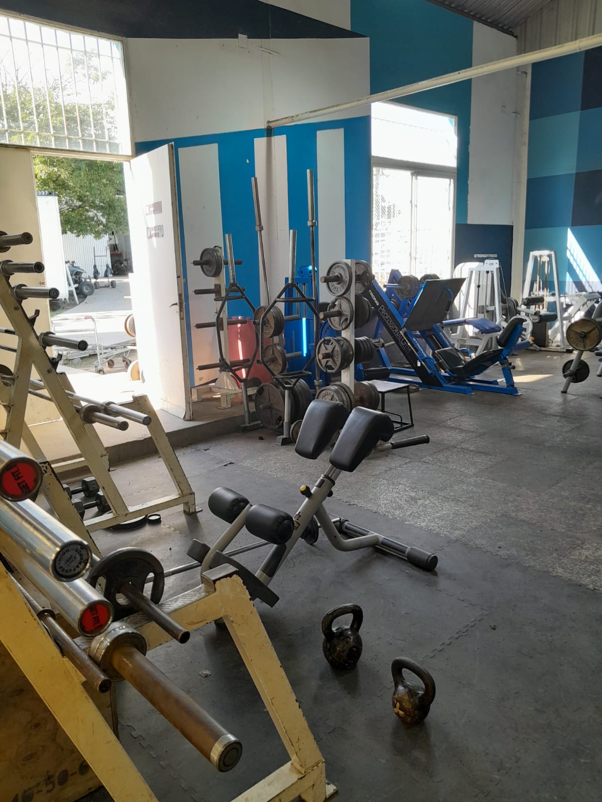 Imagen 6